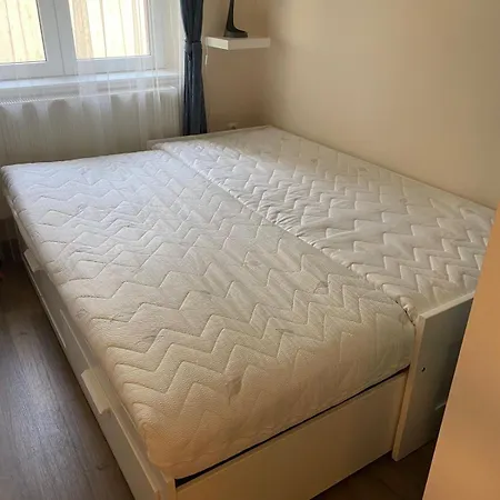 Vio Art * Székesfehérvár