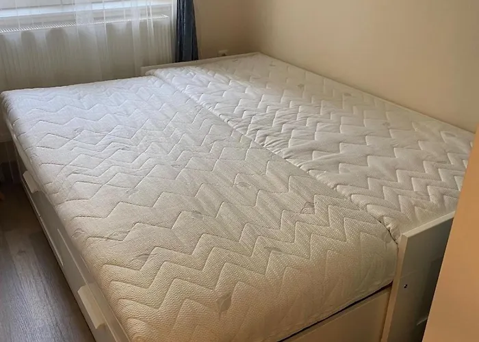 Vio Art * Székesfehérvár