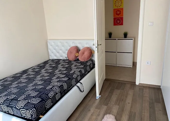 Vio Art Székesfehérvár